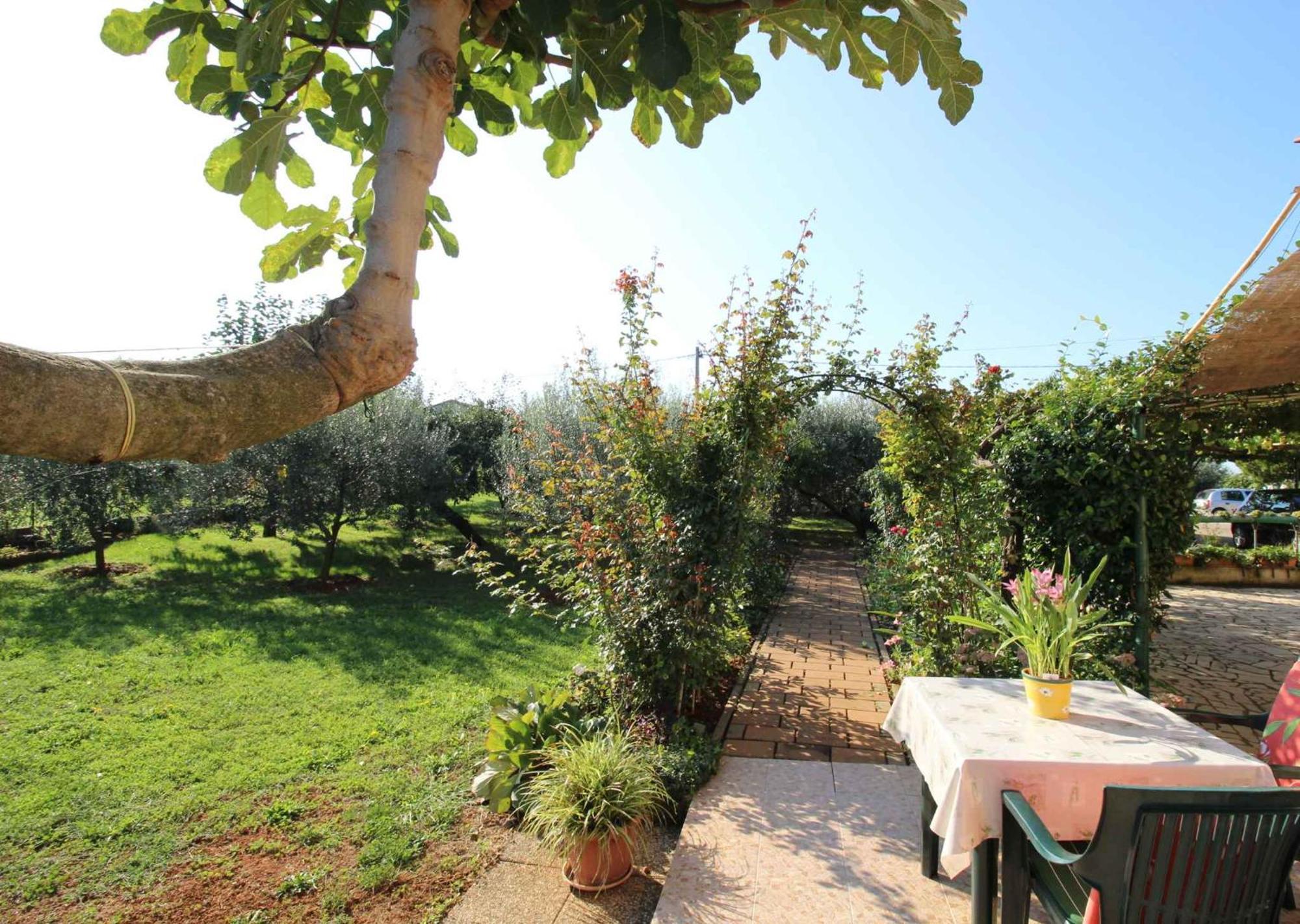 Apartments In Novigrad - Istrien 46738 Karpinjan Bagian luar foto