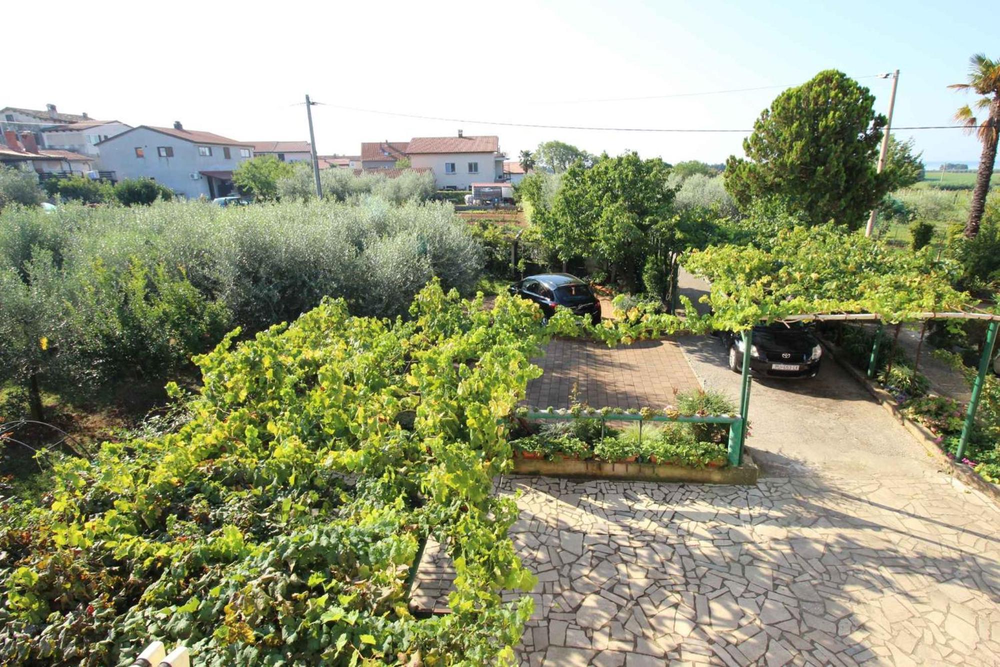 Apartments In Novigrad - Istrien 46738 Karpinjan Bagian luar foto